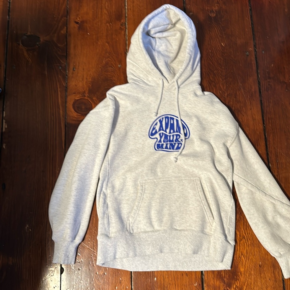 Aritzia TNA Hoodie